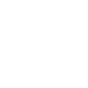 GT Flights
