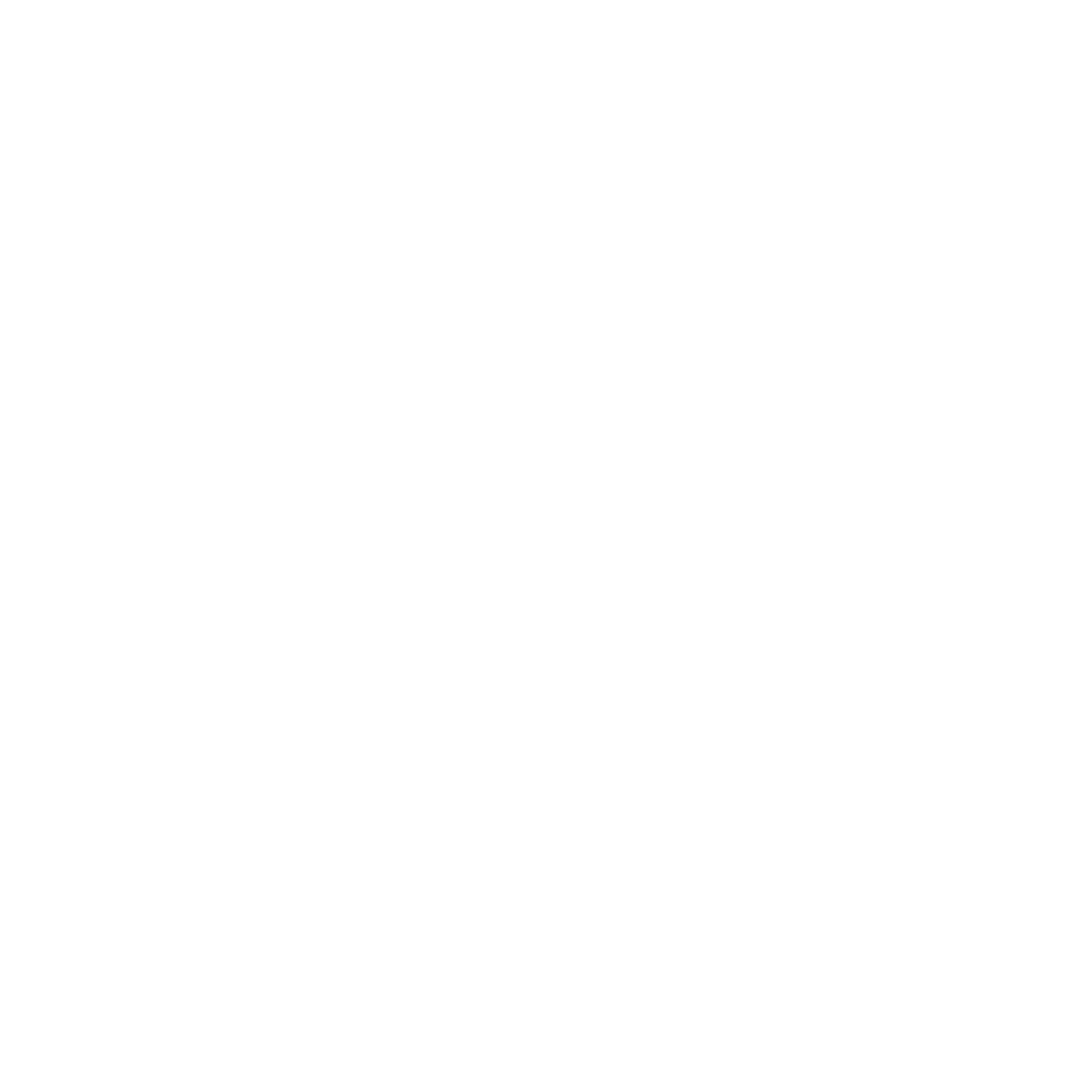 GT Flights